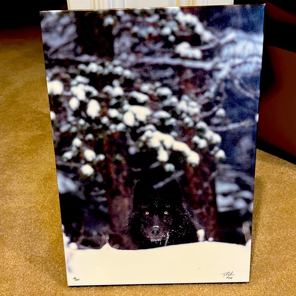 Wolf print